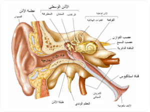 قناة استاكيوس