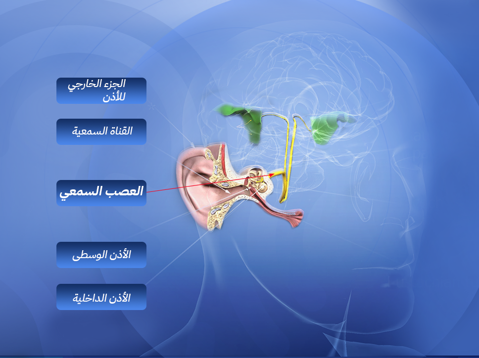 العصب السمعي