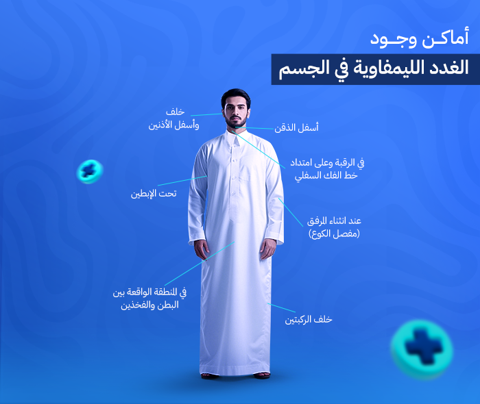 الغدد الليمفاوية