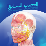 العصب السابع